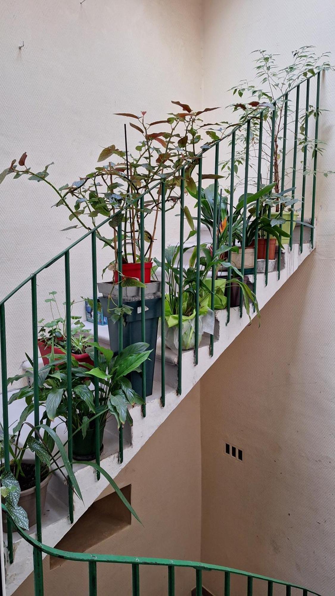 Vacance Et Cure Dans Duplex 80 M2 A Ceret 66400 Dış mekan fotoğraf